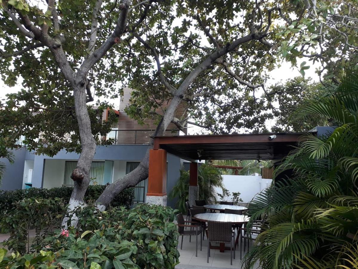 Solaris Village Imbassai ซัลวาดอร์ ภายนอก รูปภาพ